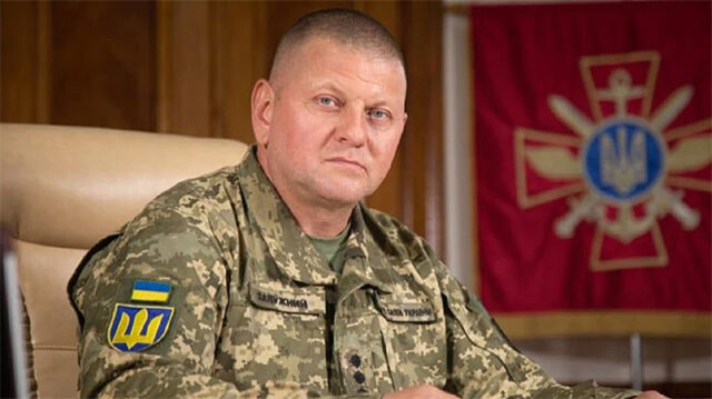 1686727866-1658174255-d68d070-zaluzhnuj-detector