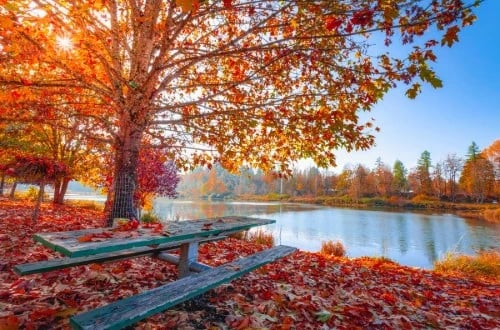 autumn